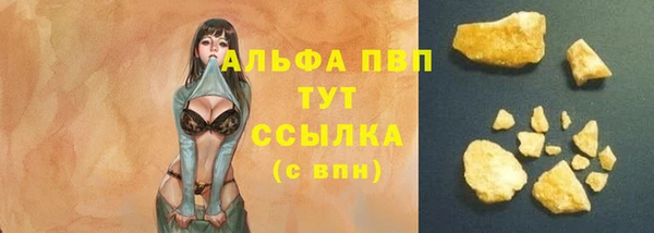 СК Алексин