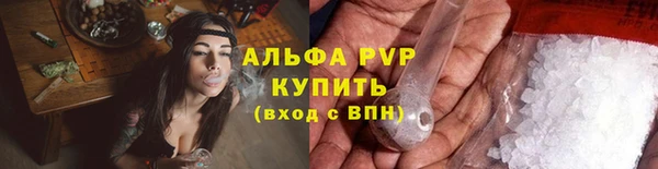 СК Алексин