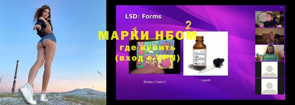 PSILOCYBIN Нея