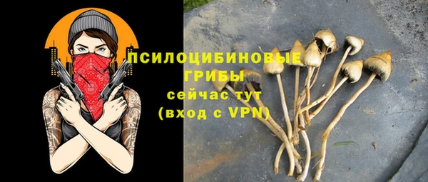 СК Алексин