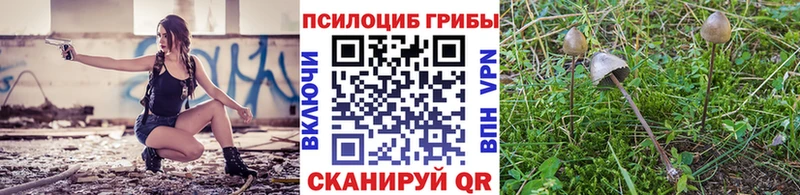 blacksprut зеркало  Фурманов  Галлюциногенные грибы мицелий 
