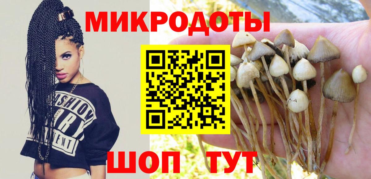 Псилоцибиновые грибы ЛСД Фурманов