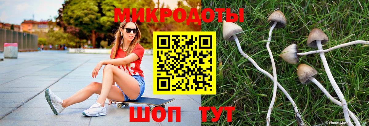 Псилоцибиновые грибы Magic Shrooms  Вход с VPN  Фурманов 